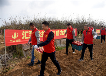 “愛心蘋果，真甜！”